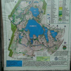 Cape Cod Hiking Trails