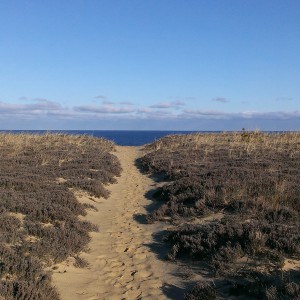 Cape Cod Hiking Trails